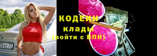 эйфоретик Бородино