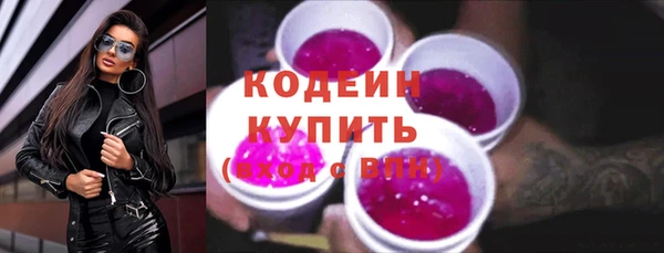эйфоретик Бородино