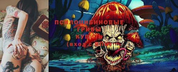 эйфоретик Бородино