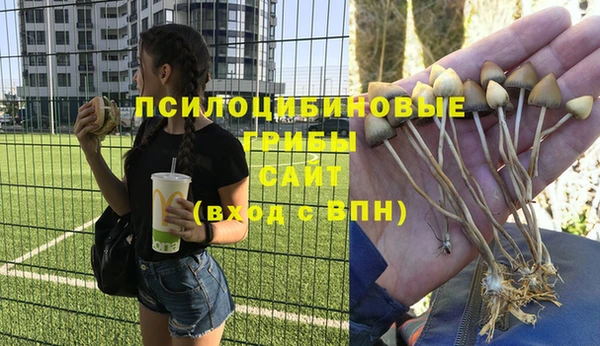 дживик Бугульма