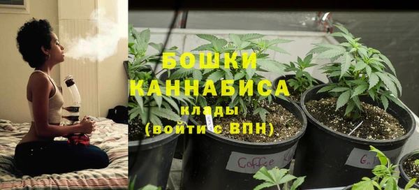 эйфоретик Бородино