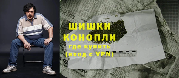 эйфоретик Бородино