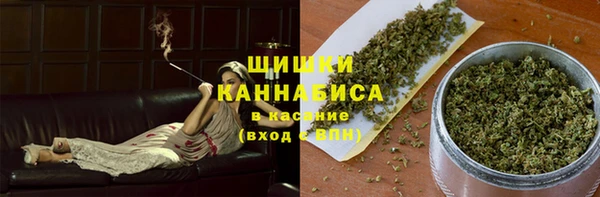 эйфоретик Бородино